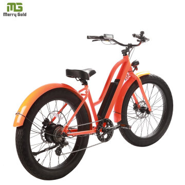 City Road Ebike for Lady/ 48V Fat Tire Bike Electric Bicycle for Sale